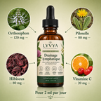 Composition Lyvya : orthosiphon, piloselle, hibiscus, vitamine C